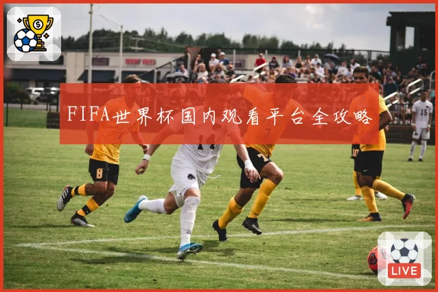 FIFA世界杯国内观看平台全攻略